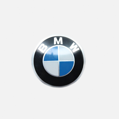 BMW Emblem Replacement