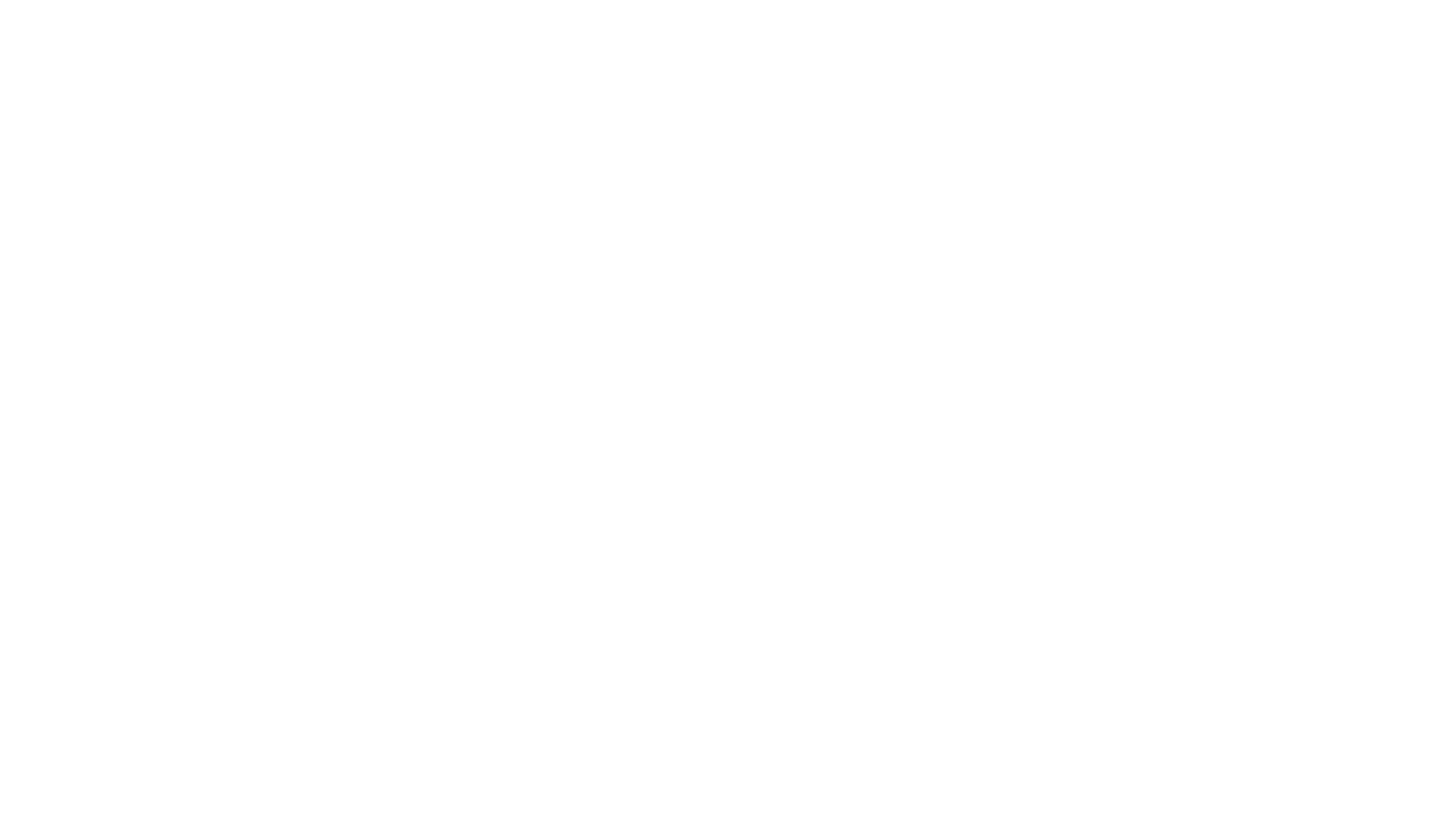 Premier Gem Corporation