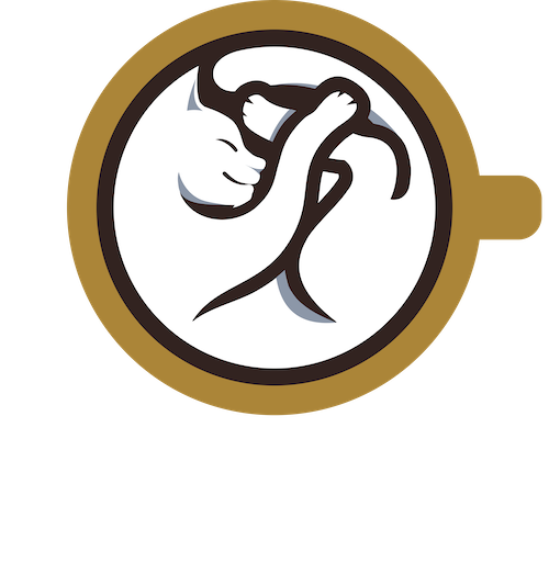 Lazy Cat Lounge & Cafe