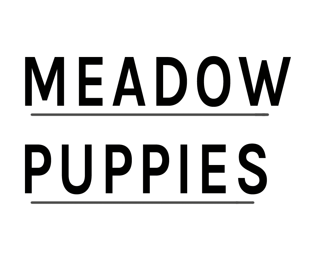 Meadow Puppies