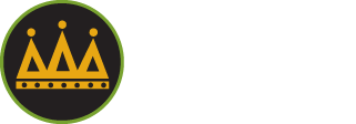 Rogue Running