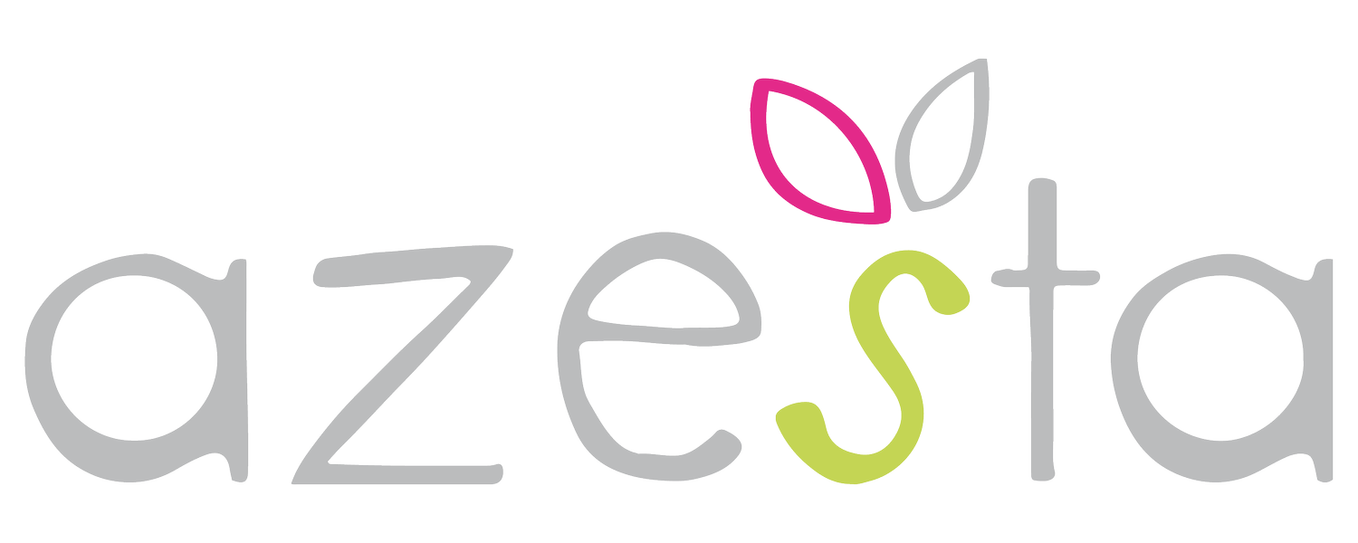 Azesta - The Experiential Learning Company