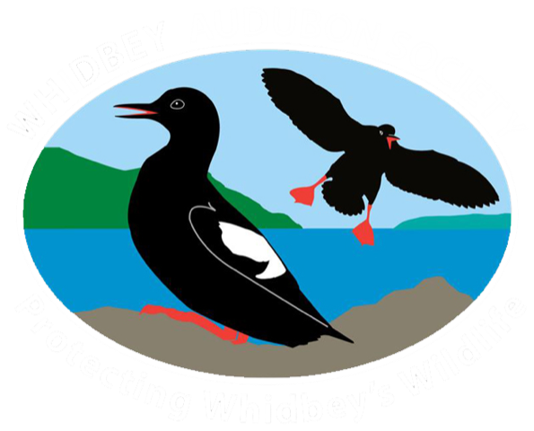 Whidbey Audubon Society