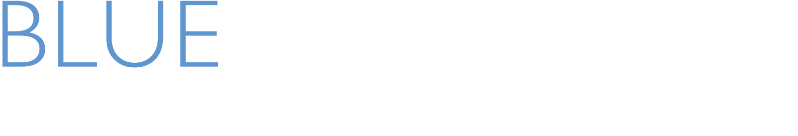 BlueOceanLaw