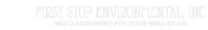 First Stop Environmental