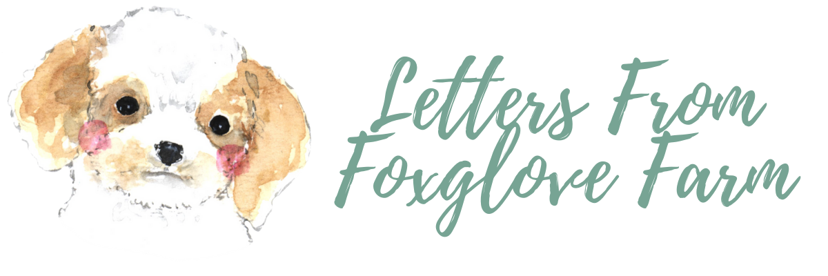 Letters From Foxglove Farm