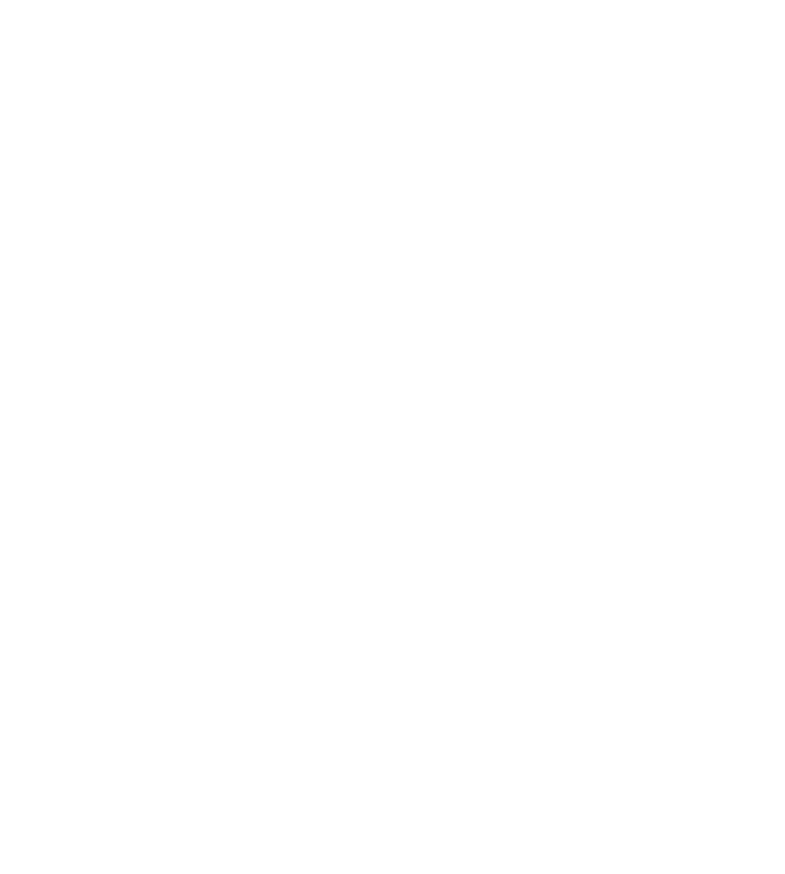 ANDY IRONS FOUNDATION
