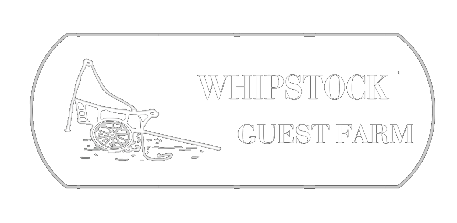 Whipstock Guest Farm