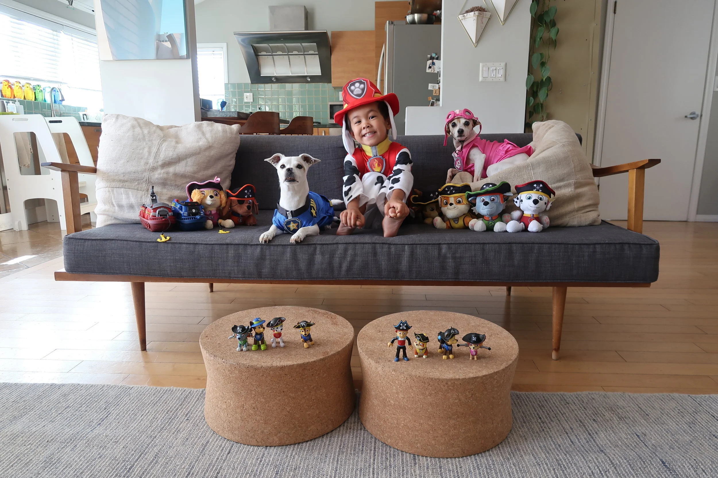 6a-PAW + Patrol + Marshall +++ dog + costumes.jpeg