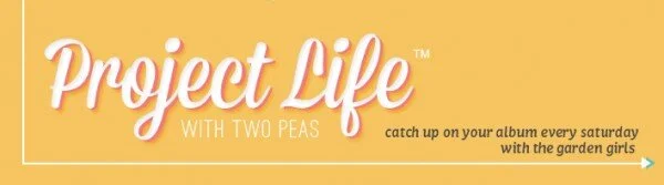 5a-PLbanner-600x167.jpg
