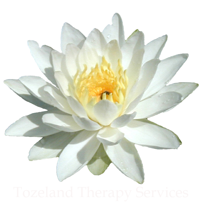 Tozeland Therapy Services