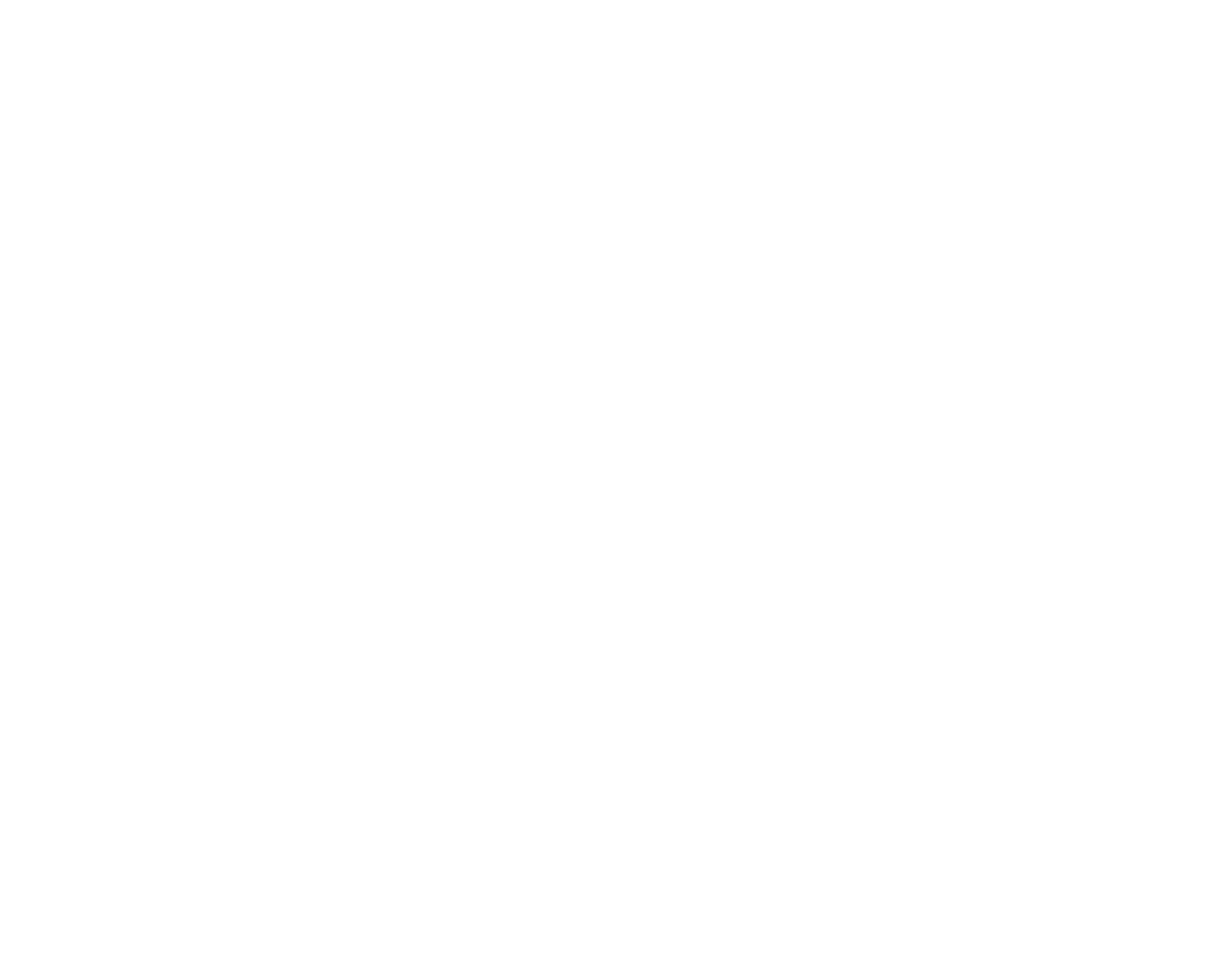 Bird Diva ~ Slow Birding