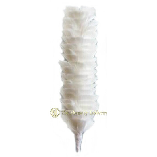 Hat White Feather Hackle 3.5 inch for Scottish Bonnet 