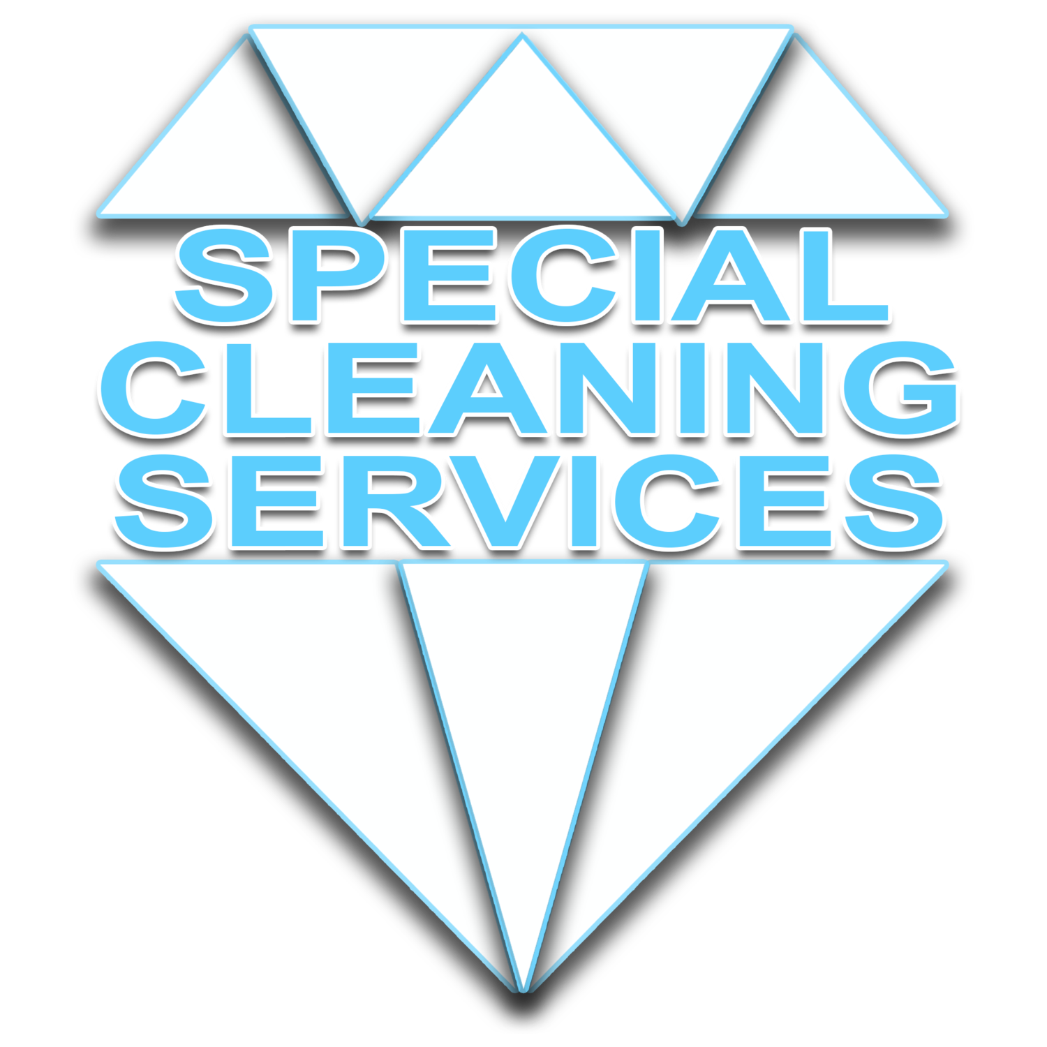 Special Cleaning Services