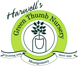 Harwell&#39;s Green Thumb Nursery