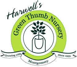 Harwell's Green Thumb Nursery