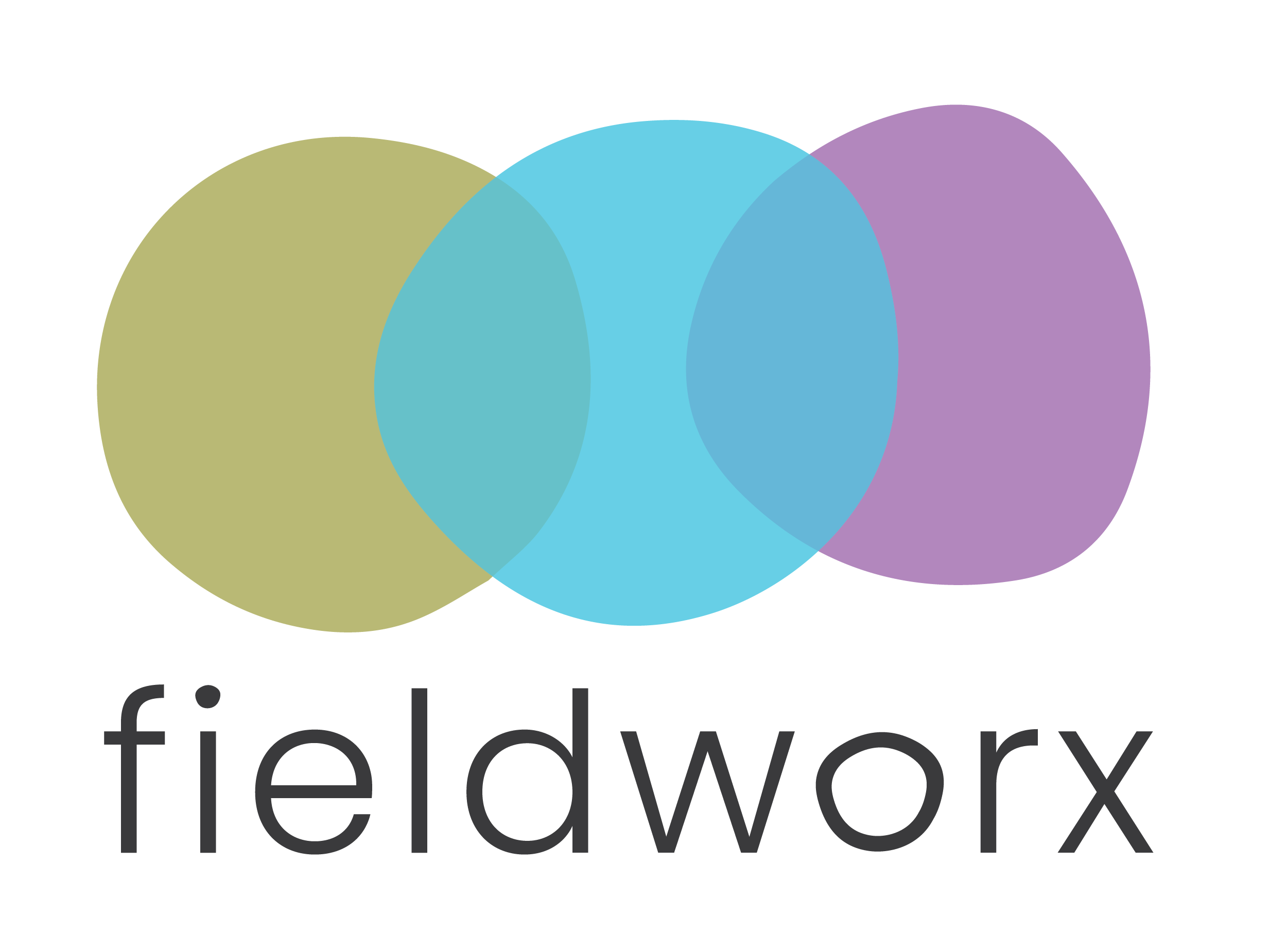 Fieldworx