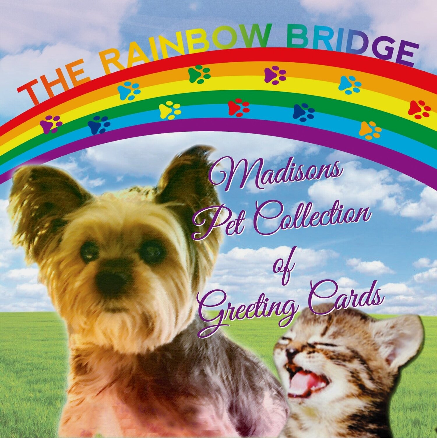 Madison&#39;s Pet Collection