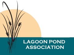 Lagoon Pond Association