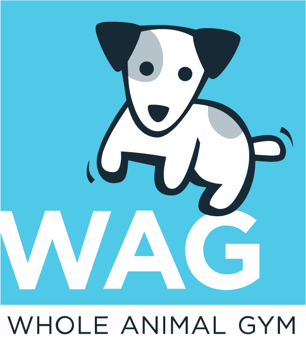 WAG Whole Animal Gym