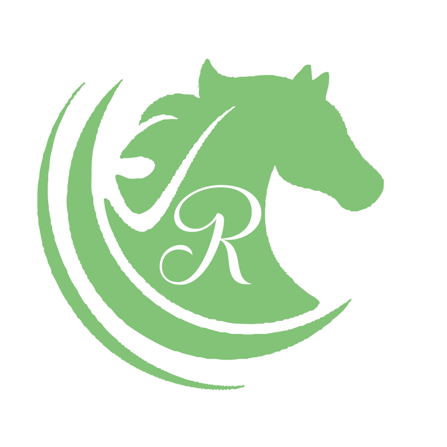 Refined Riding Biomechanics For Horse Riders