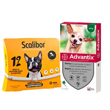 PACK + ADVANTIX — en pienso