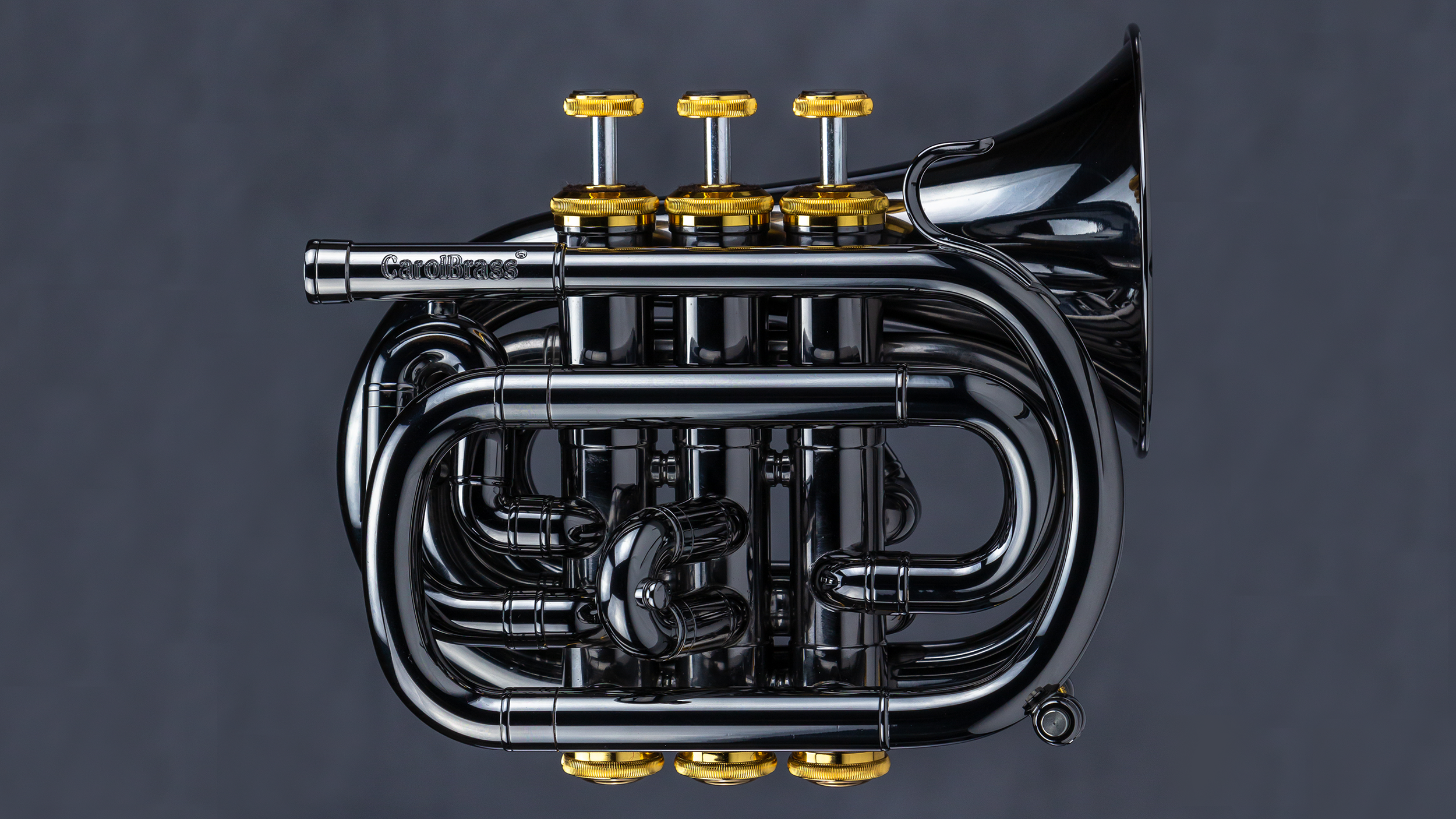 Carol Brass
