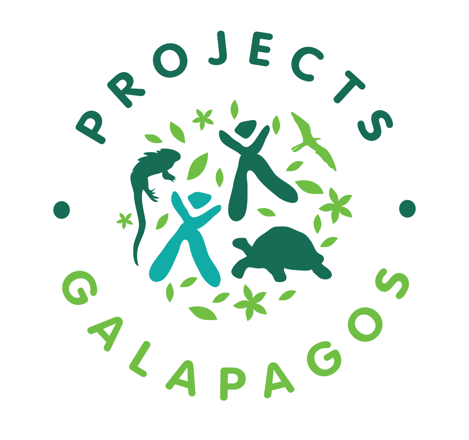 Projects Galapagos