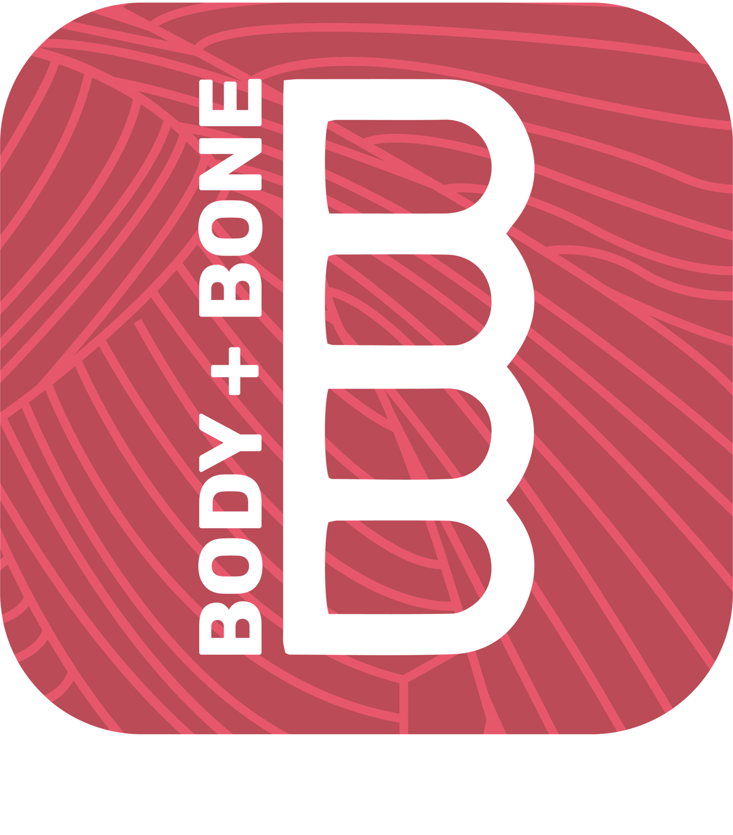 BODY + BONE CHIROPRACTIC
