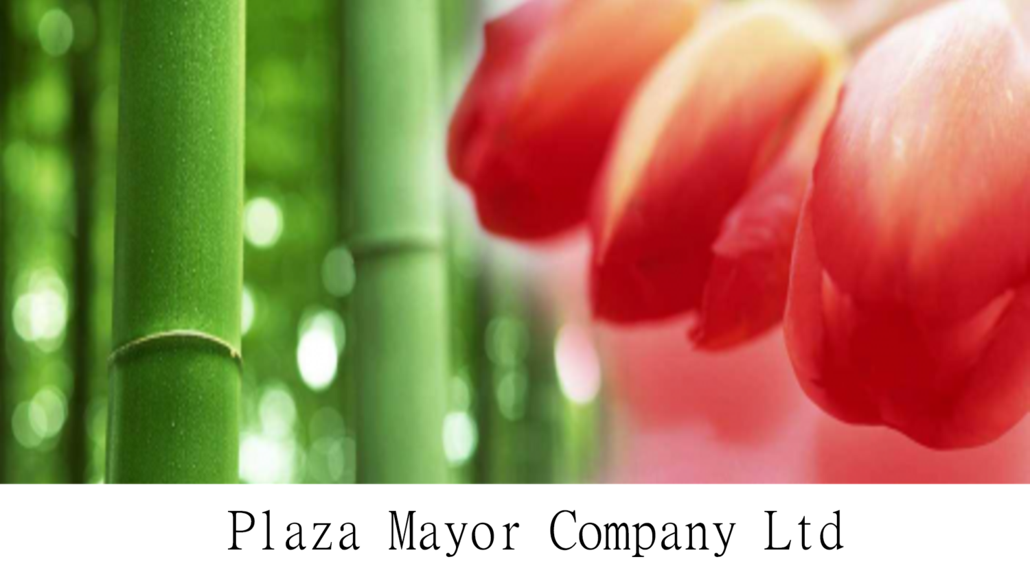 Plaza Mayor Company Ltd.