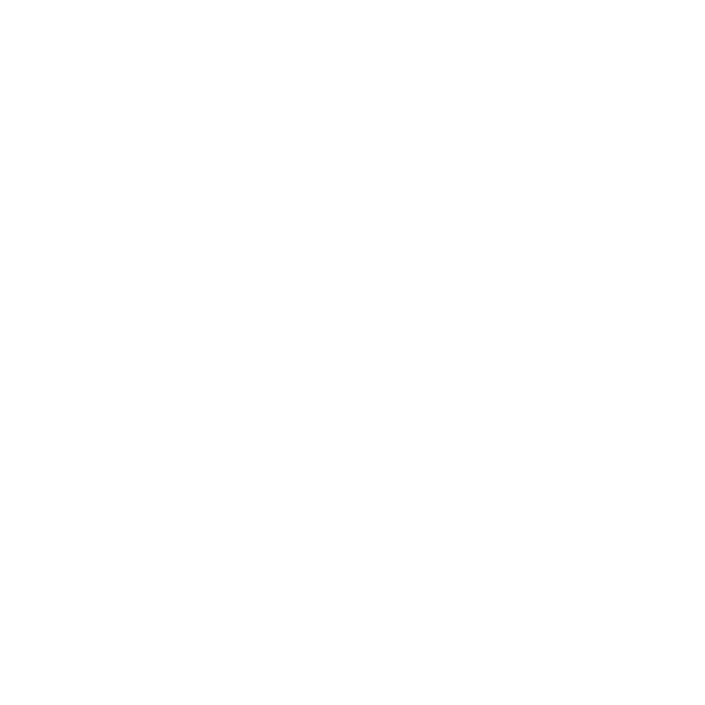 Old Crow Painting | Exterior &amp; Interior Painting | Tampa, FL