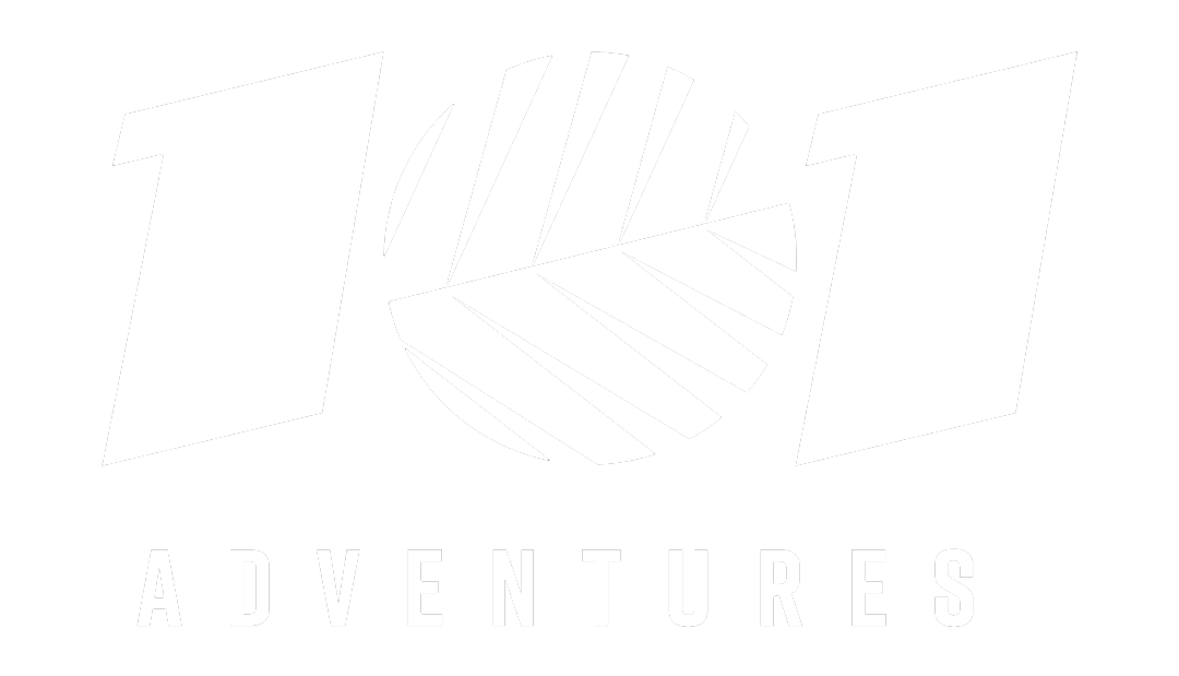 101 Adventures