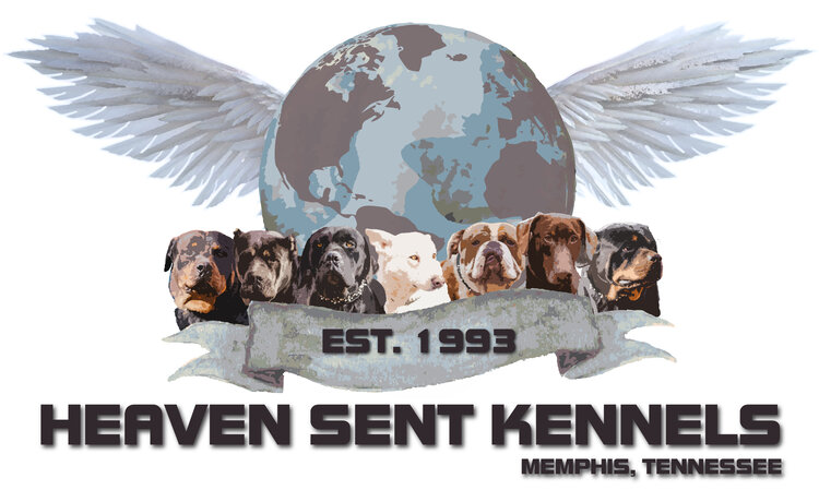 Memphis Dog Breeders | Heaven Sent Kennels of Memphis