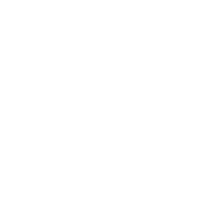 Bridge City Community