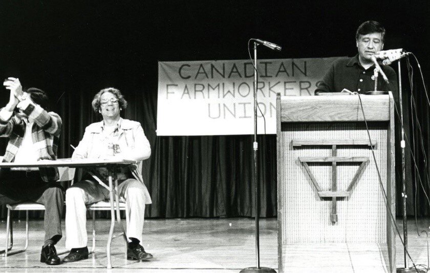 Raj Chouhan Claps和Charan Gill Smiles ShileS曾在1980年4月26日在温哥华的Canadian Farmningers Union的公共庆典中发言的团结讲话。照片:SFU数字档案。