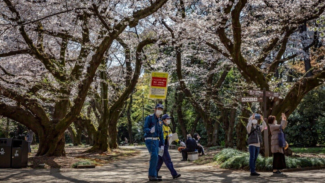 安全工作人员在3月23日在樱花盛开的樱花盛开期间举行了一个以上人民在樱花盛开的缔约方向观看缔约方举行咨询的标志。照片:Yuichi Yamazaki / Getty Images