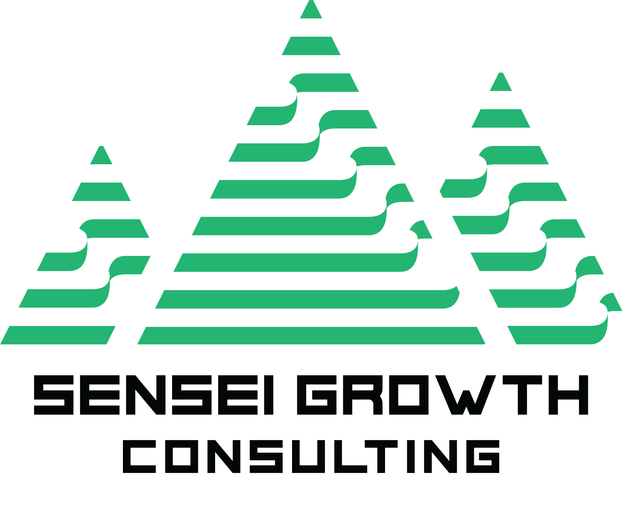 Sensei Growth Consulting 