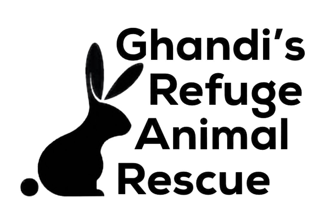 Ghandi’s Refuge Animal Rescue