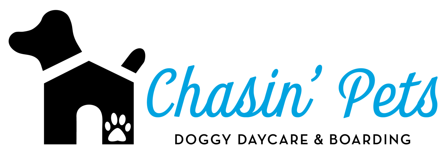 Chasin&#39; Pets Premier Doggy Daycare &amp; Boarding