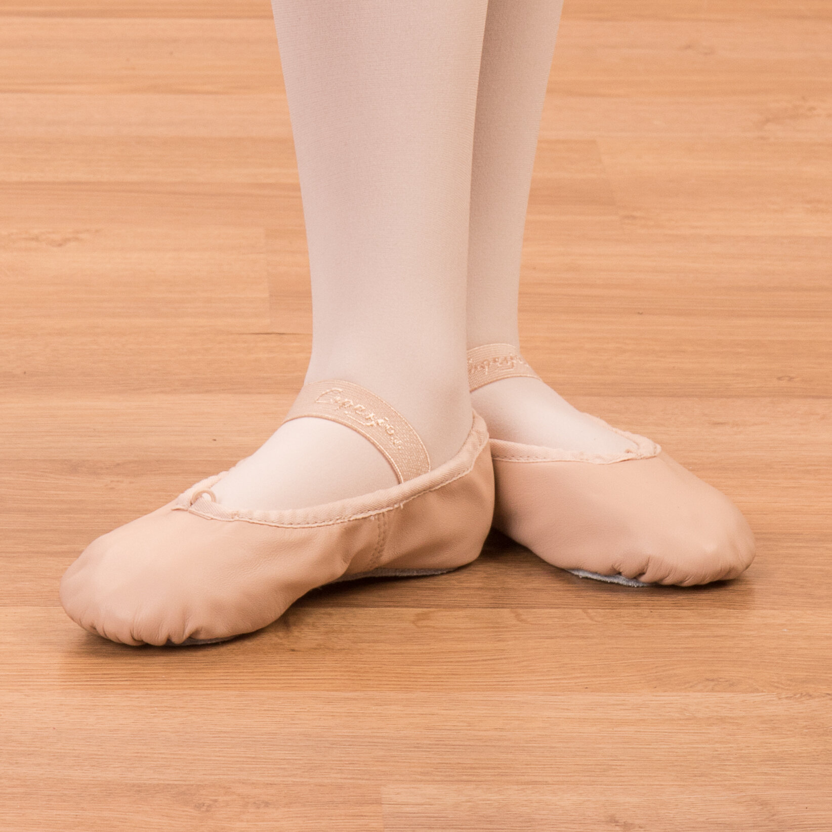 Pink Ballet Shoes — Young At Arts