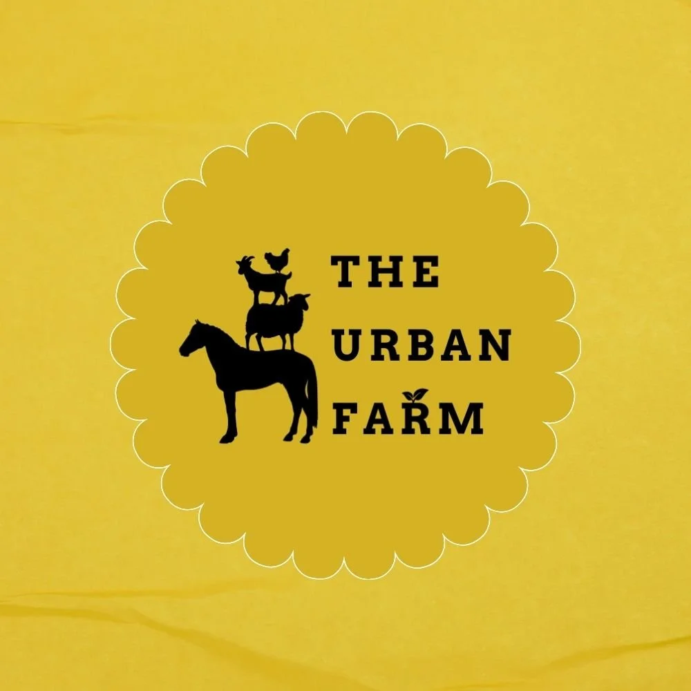 The Urban Farm