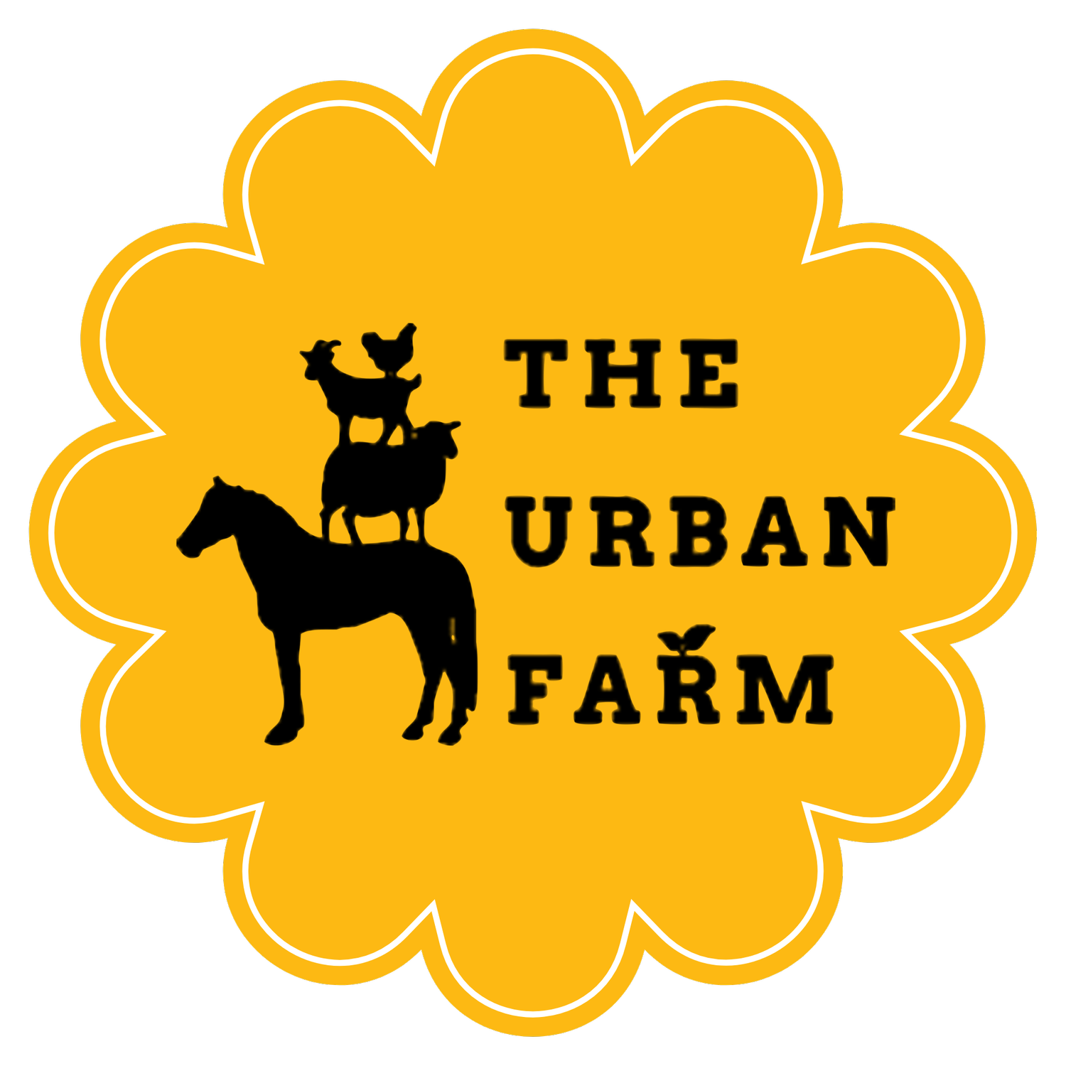 The Urban Farm