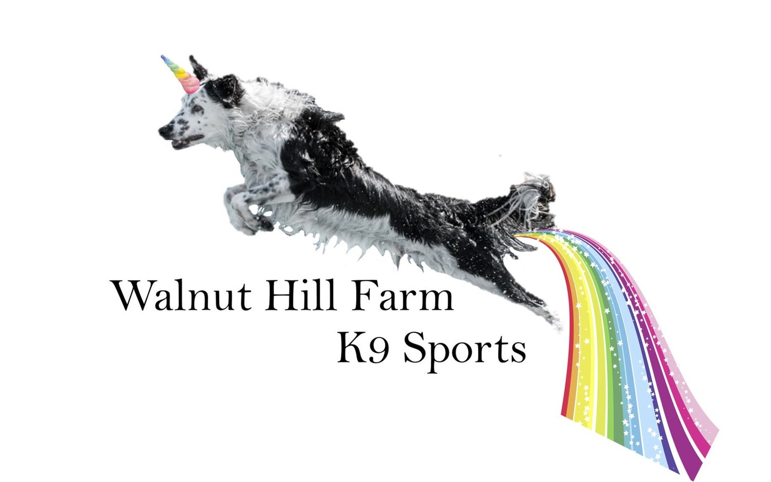 Walnut Hill Farm K9 Sports