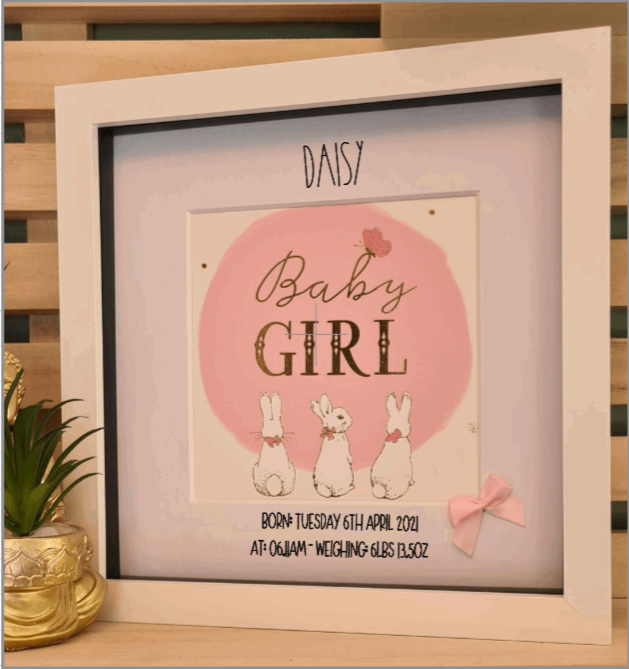 Peter Rabbit Baby Girl Birth Announcement Frame — Cross & Thorn Crafts