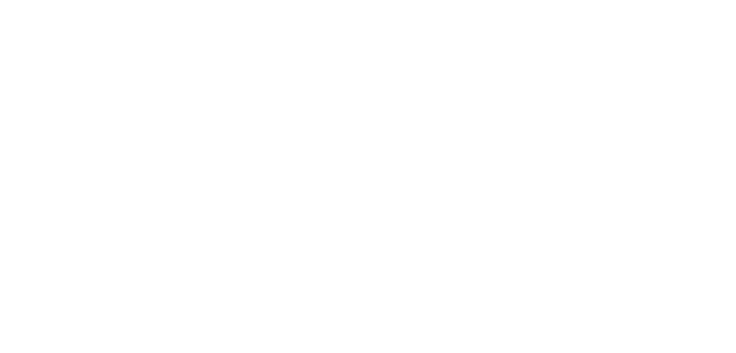 Ornery Mule Run Coaching