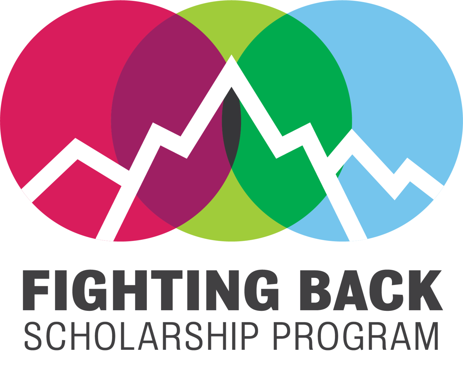 Fighting Back Scholarship Program