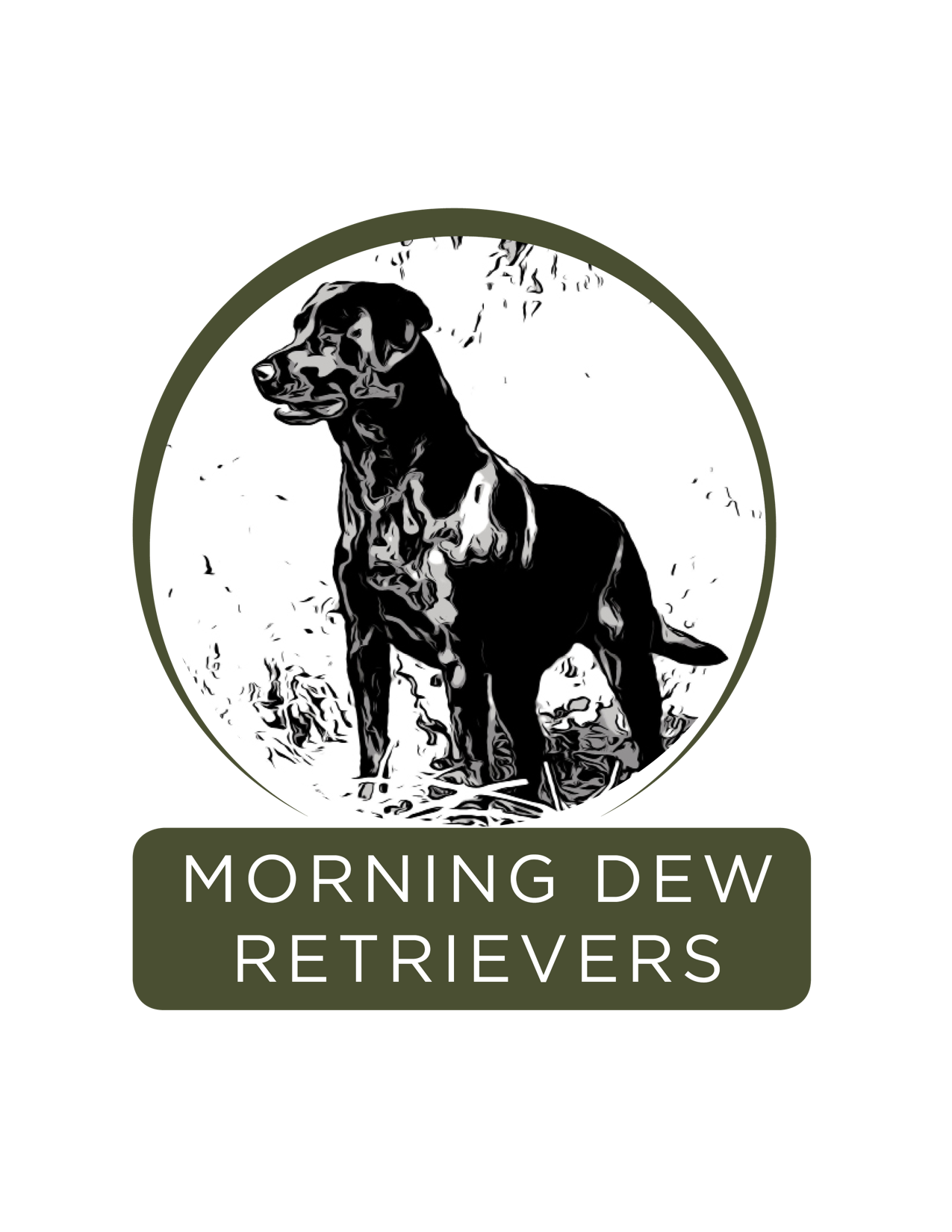 Morning Dew Retrievers