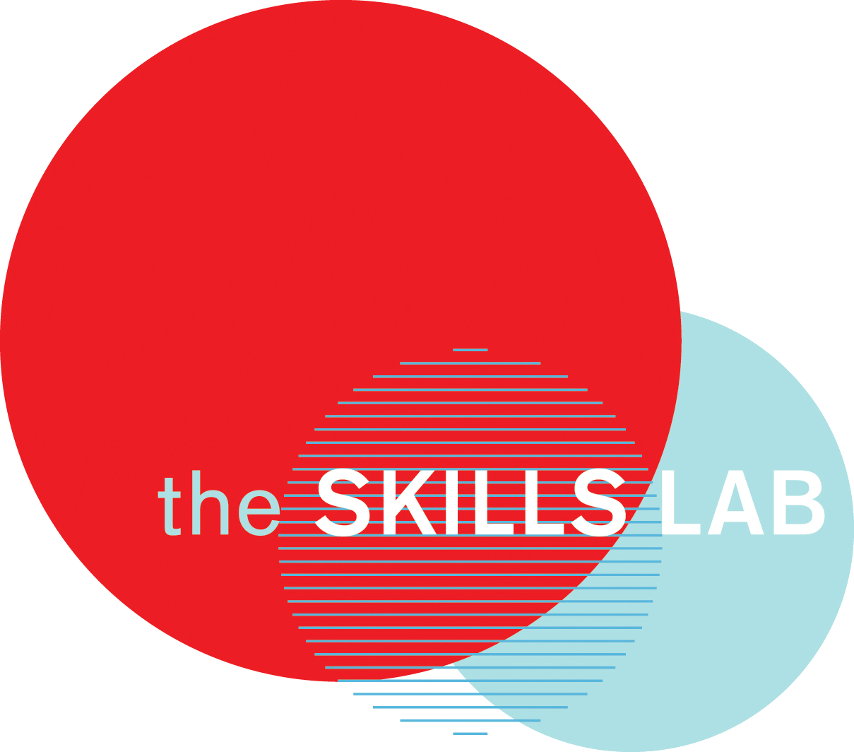 The Skills Lab Limited