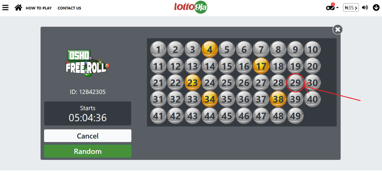 选择手动播放lotto9ja - 步骤7.png