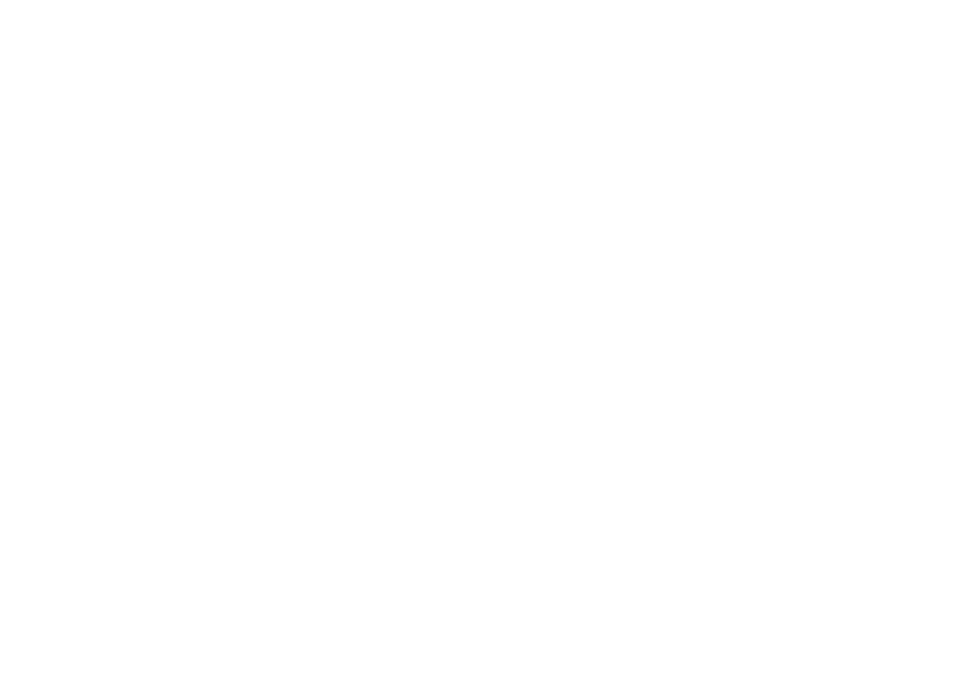 Wiley &amp; Co.
